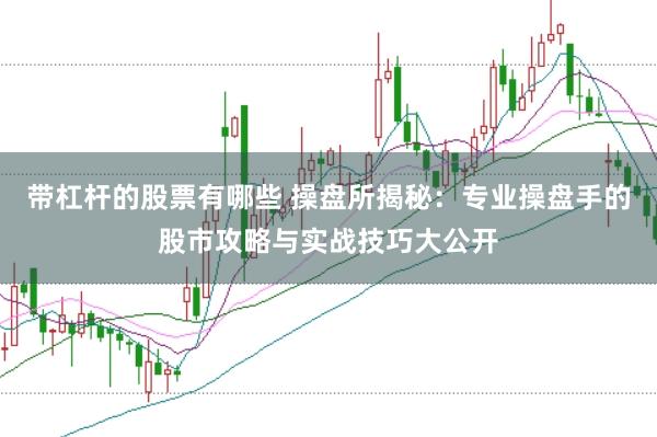 带杠杆的股票有哪些 操盘所揭秘：专业操盘手的股市攻略与实战技巧大公开