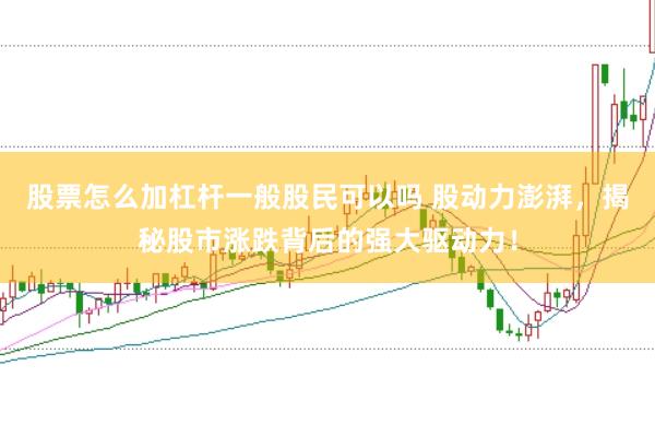 股票怎么加杠杆一般股民可以吗 股动力澎湃，揭秘股市涨跌背后的强大驱动力！