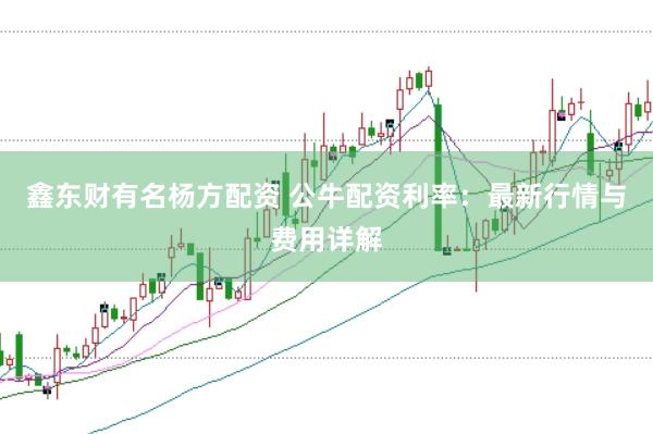 鑫东财有名杨方配资 公牛配资利率：最新行情与费用详解